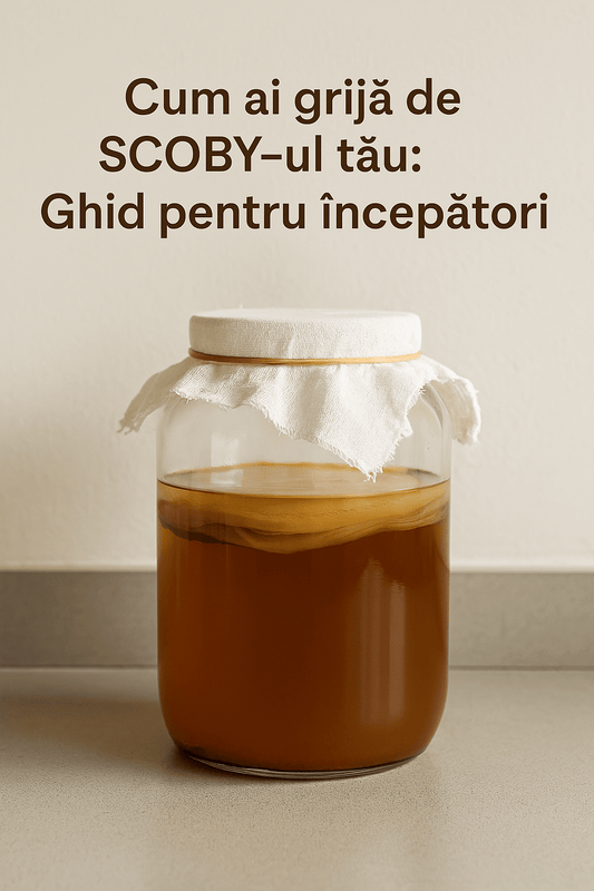 Cum ai grijă de SCOBY-ul tău: Ghid pentru începători - Gut2be
