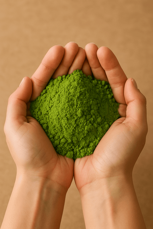 Matcha și kombucha – duo-ul perfect pentru intestin - Gut2be