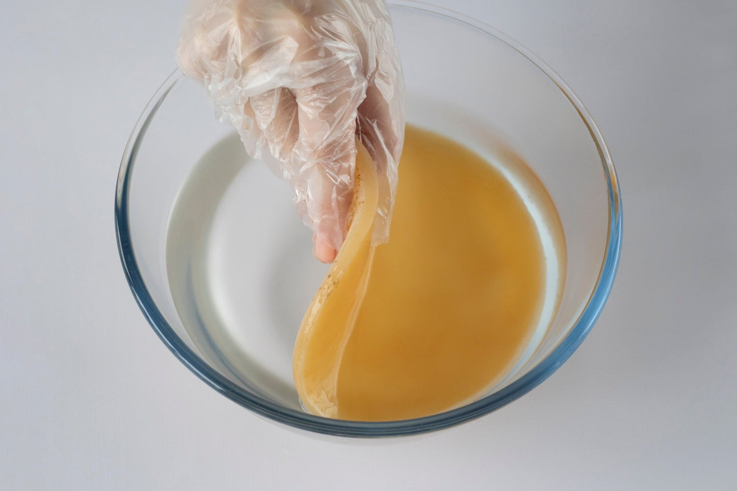 Kombucha Ciupercă - Calitate superioară - Gut2beKombucha Ciupercă - Calitate superioarăKombucha CiupercaGut2beGut2be