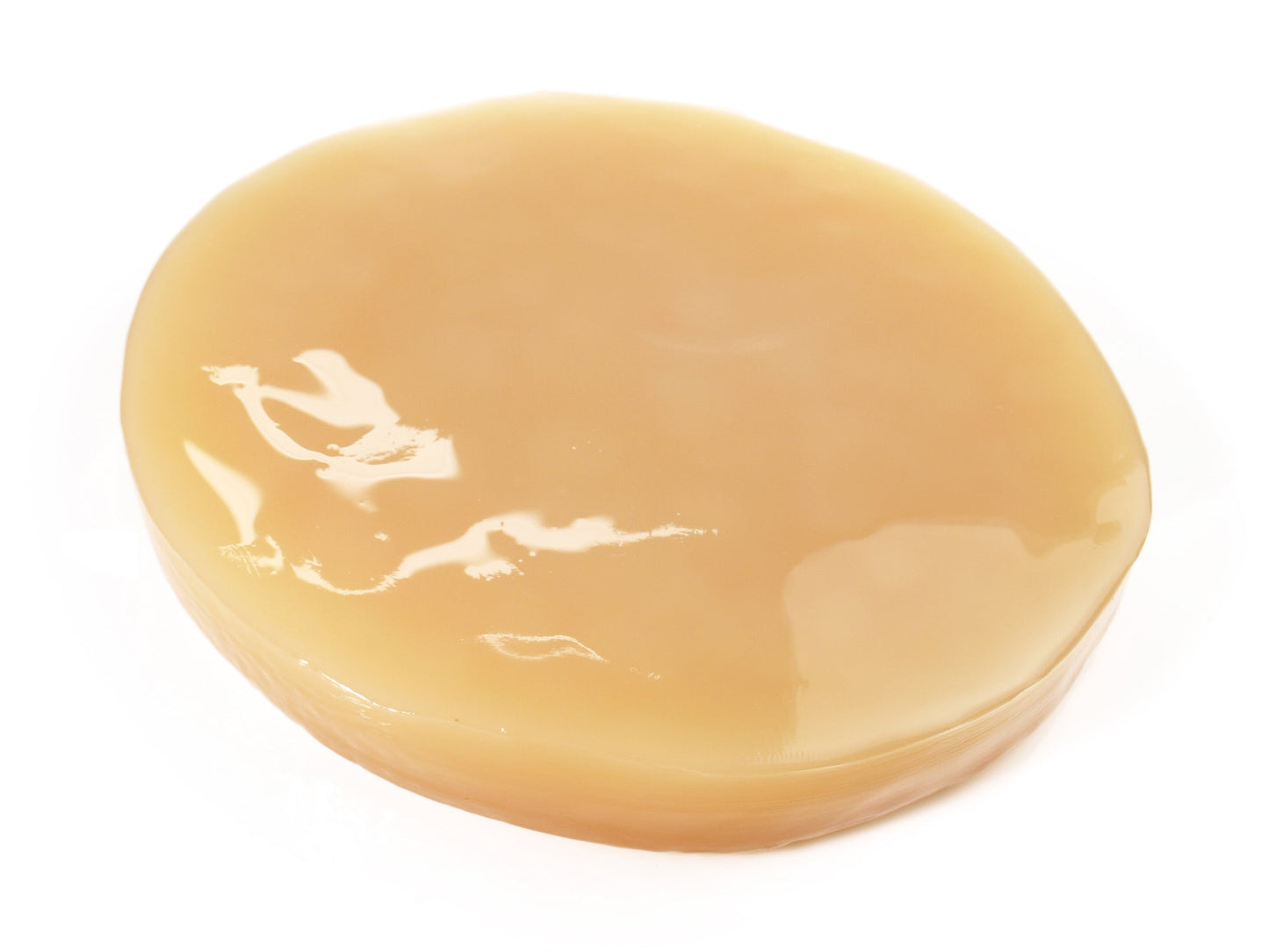 Kombucha Ciupercă - Calitate superioară - Gut2beKombucha Ciupercă - Calitate superioarăKombucha CiupercaGut2beGut2be