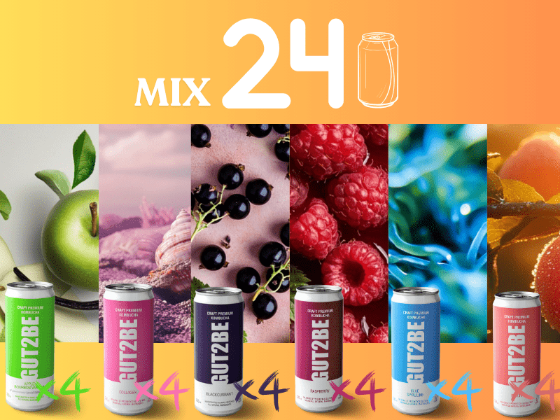 Kombucha Mix - Set de 24x330ml - Gut2beKombucha Mix - Set de 24x330mlGut2beGut2be