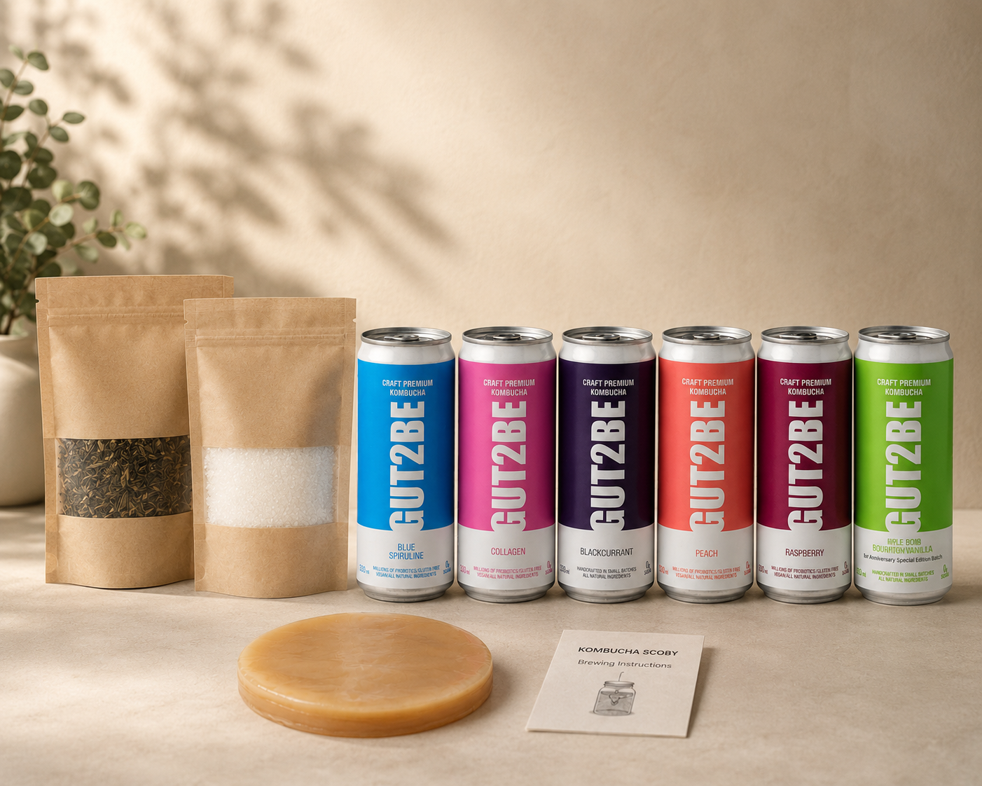 kombucha set pachet premium