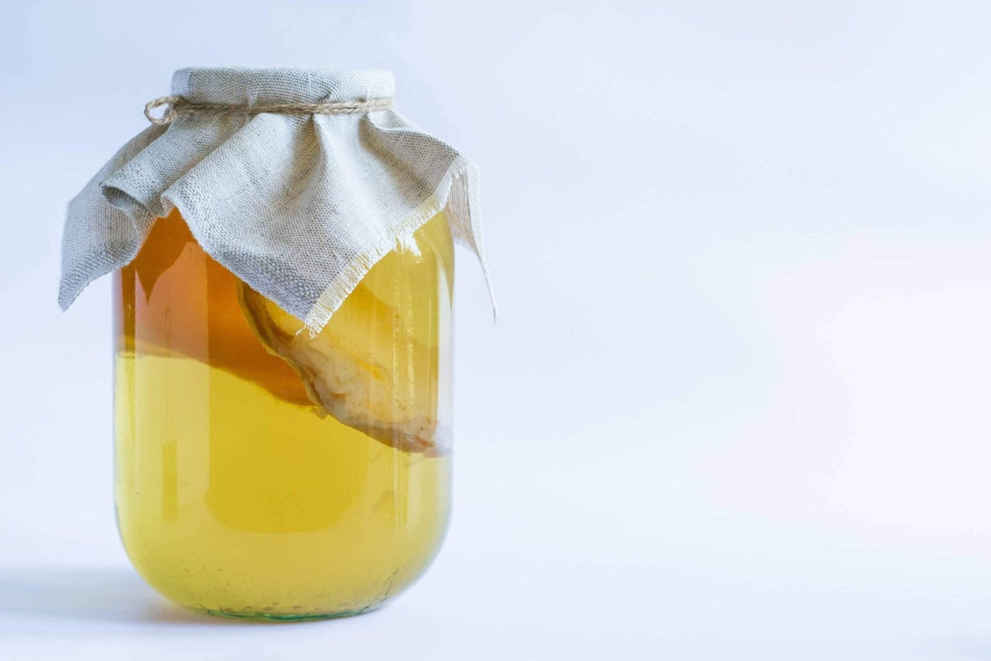 De ce merită să începi propria cultură de kombucha acasă – beneficii și satisfacție personală - Gut2be