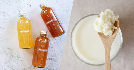 Diferențele și asemănările dintre kefirul de apă, kefirul de lapte și kombucha: Analiză comparativă
