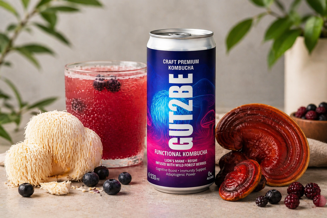 A can with lions mane and reishi, kombucha beverage