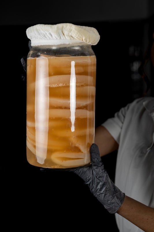 Kombucha Ciupercă - Calitate superioară - Gut2beKombucha Ciupercă - Calitate superioarăKombucha CiupercaGut2beGut2be