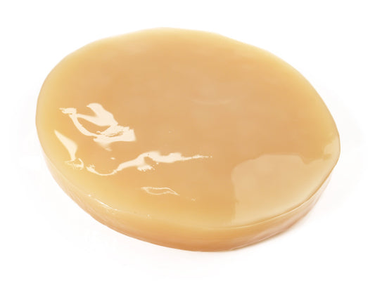 Kombucha Ciupercă Calitate superioara