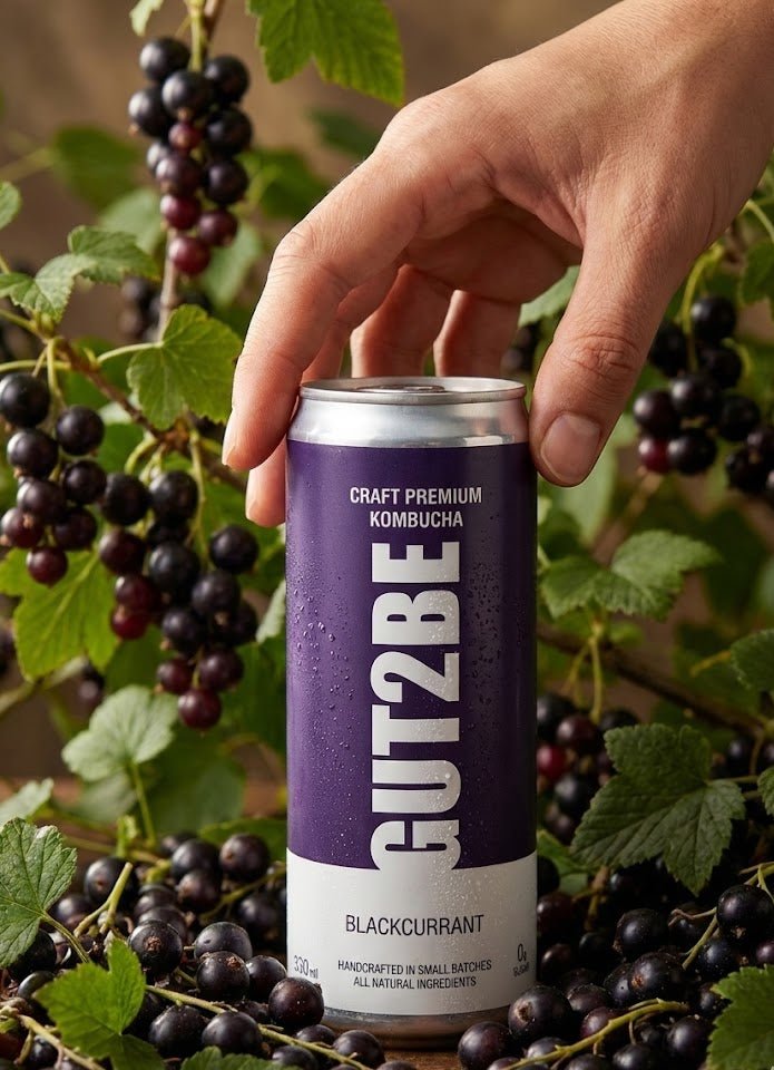 Kombucha Coacăz Negru - Set de 12x330ml - Gut2beKombucha Coacăz Negru - Set de 12x330mlGut2beGut2be