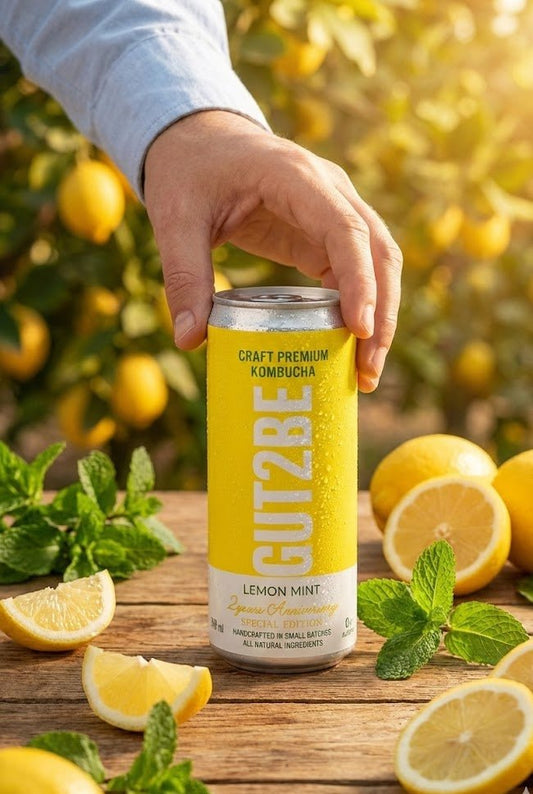 kombucha premium GUT2BE cu lămâie și mentă băutură probiotică
