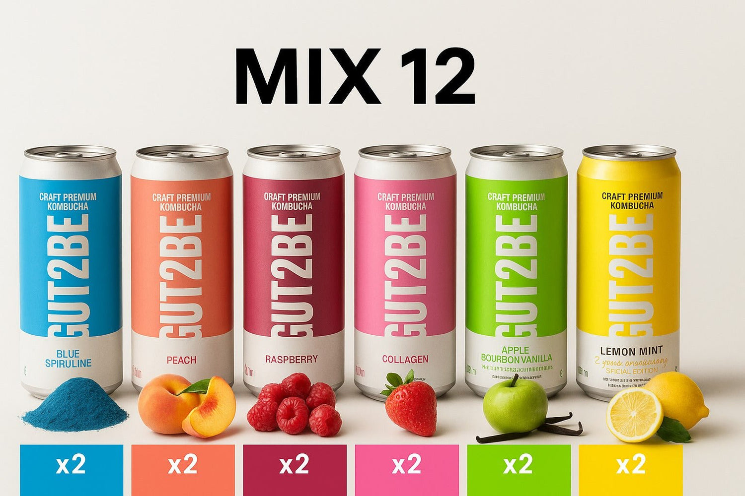 Kombucha Mix - Set de 12x330ml - Gut2beKombucha Mix - Set de 12x330mlGut2beGut2be