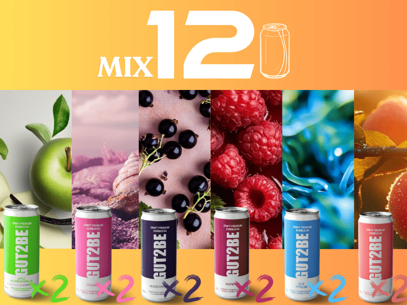 Kombucha Mix - Set de 12x330ml - Gut2beKombucha Mix - Set de 12x330mlGut2beGut2be