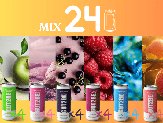 Kombucha Mix - Set de 24x330ml - Gut2beKombucha Mix - Set de 24x330mlGut2beGut2be