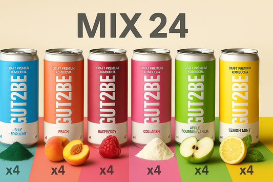 Kombucha Mix - Set de 24x330ml - Gut2beKombucha Mix - Set de 24x330mlGut2beGut2be