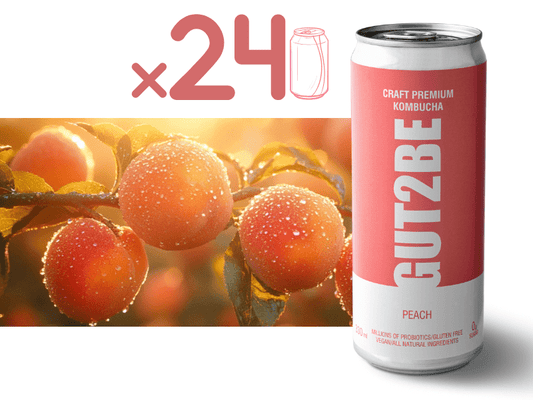 Kombucha Piersică - Set de 24x330ml - Gut2beKombucha Piersică - Set de 24x330mlGut2beGut2be