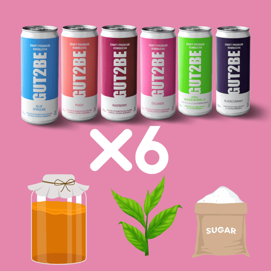 Pachet Premium Kombucha - Gut2bePachet Premium KombuchaGut2beGut2be