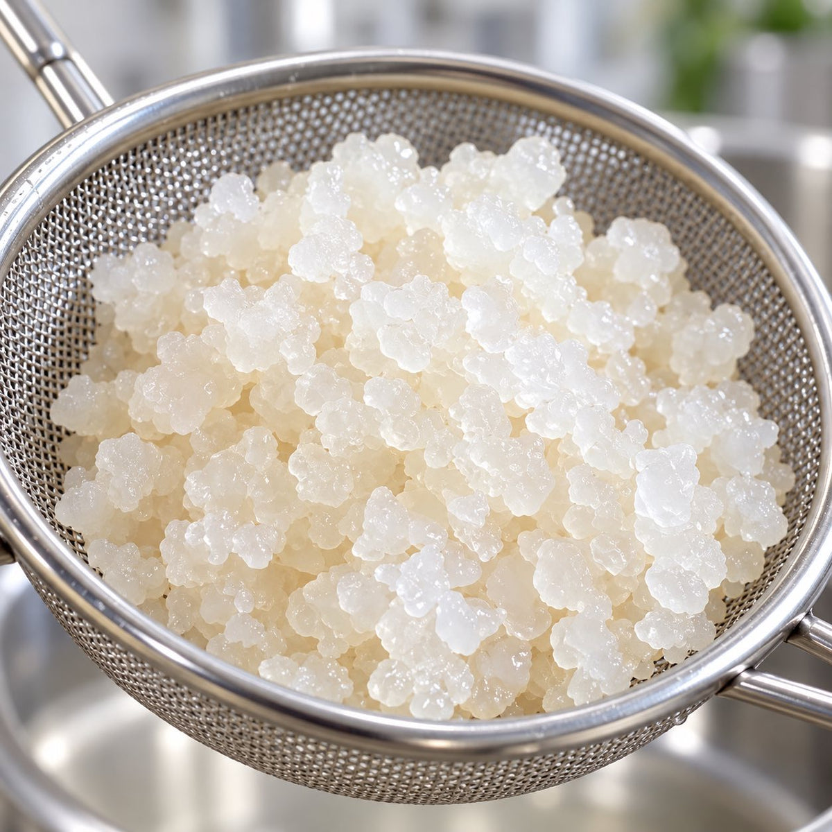 Boabe Active de Kefir de Apă – Prepară Kefir Acasă | 25 g