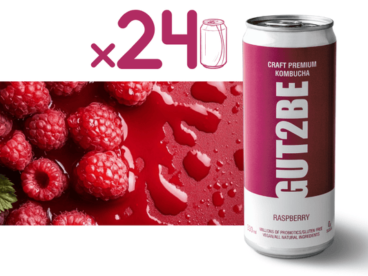 Zmeura Kombucha - Set de 24x330ml - Gut2beZmeura Kombucha - Set de 24x330mlGut2beGut2be